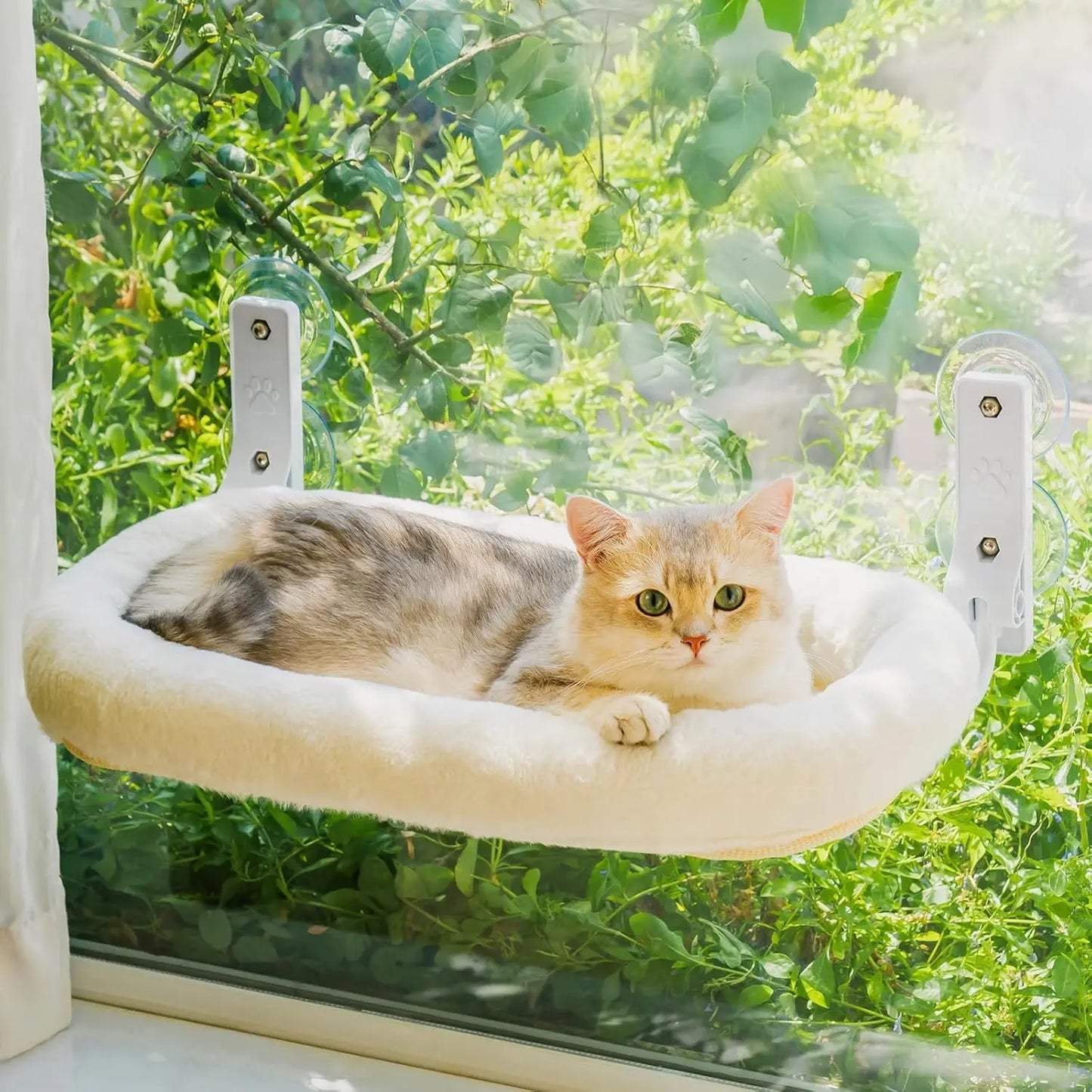 Foldable Window Perch 4 Strong Suction Cups Cordless Hammock